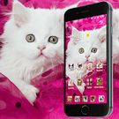  Pink Persian white Cat theme        apk