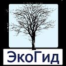 Скачать полную ЭкоГид: Деревья зимой на Андроид бесплатно по прямой ссылке на apk