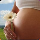 Скачать русскую Календарь беременности на Андроид бесплатно прямая ссылка на apk