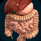 Скачать разблокированную Внутренние органы в 3D (анатомия) на Андроид бесплатно прямая ссылка на apk