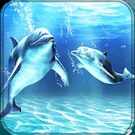 Скачать полную Дельфины живые обои на Андроид бесплатно прямая ссылка на apk