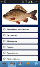 Скачать полную ЭкоГид: Рыбы на Андроид бесплатно по прямой ссылке на apk
