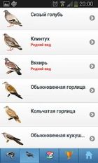 Скачать полную ЭкоГид: Птицы России - Голоса, Фото и Определитель на Андроид бесплатно прямая ссылка на apk