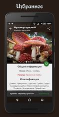 Скачать русскую Справочник грибника PRO на Андроид бесплатно по ссылке на apk