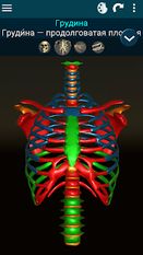 Скачать разблокированную Osseous System 3D (анатомия) на Андроид бесплатно по ссылке на apk
