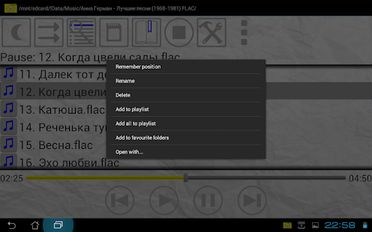   PPlayer - Music Folder Player        apk