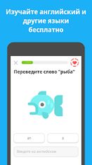   Duolingo:           apk