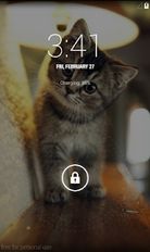 Скачать разблокированную Cute Cat Wallpaper HD на Андроид бесплатно по ссылке на apk