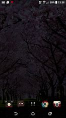 Скачать разблокированную Цветение Сакуры Живые Обои на Андроид бесплатно по ссылке на файл apk