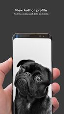Скачать полную Pug Wallpapers 4K Pro Pug Backgrounds на Андроид бесплатно прямая ссылка на apk