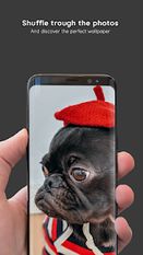 Скачать полную Pug Wallpapers 4K Pro Pug Backgrounds на Андроид бесплатно прямая ссылка на apk